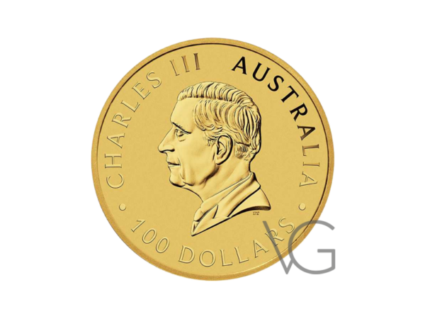 1-Unze-Australien-Känguru-Gold-Münze-2024-Bild-2