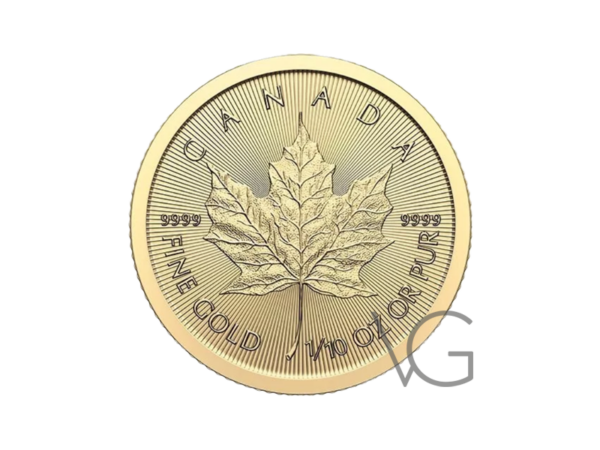 1;10-Unze-Maple-Leaf-Gold-Münze-2024-Bild-1